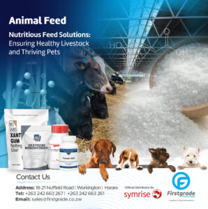 Nutritious Feed Solutions: Healthy Livestock and Thriving Pets